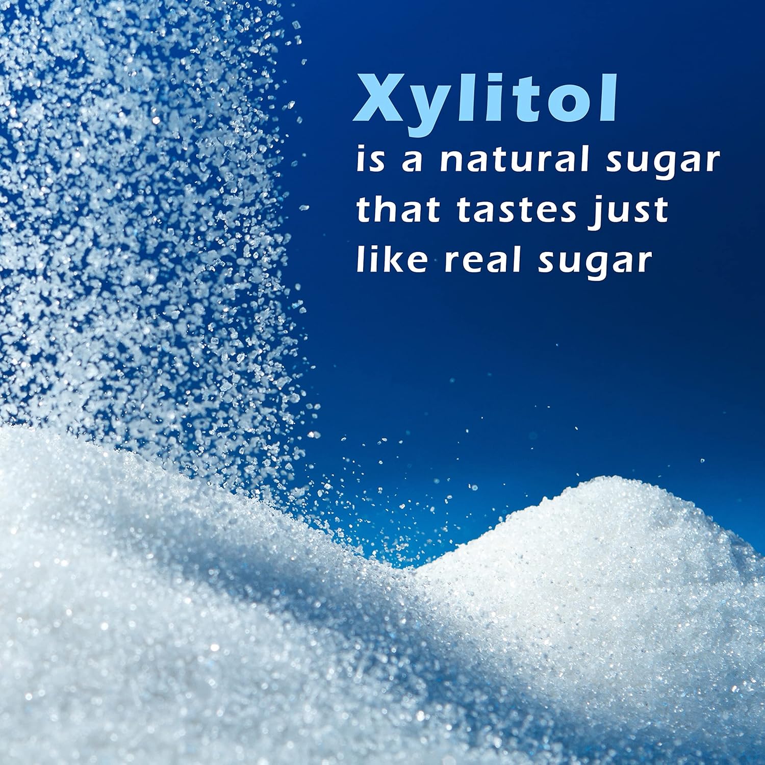 XyloBurst - Xylitol Mints | Sugar Free Breath Mints for Oral Health | Gluten Free, Vegan, Keto Friendly | Aspartame Free Mints | Peppermint | 200 Count Jar - Image 6