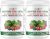 Superfood Reds & Greens Powder – 11.64 oz, Pack of 2, Prebiotics & Probiotics for Digestive Health, Super Greens Powder with Ashwagandha for Gut Health, Immunity, Antioxidants, Vegan