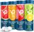 Venture Pal Chewable Electrolyte Tablets, Fast-Dissolve Sugar-Free Stick Salt Tablets – Variety Pack for Rapid Hydration, Outdoor Running, Hiking, Sports | Keto & Vegan Friendly | 80 Count (4 Pack)