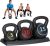 ZENY 3-Piece Kettlebell Set with Storage Rack Heavy Duty Concrete 5 lb 10 lb 15 lb Kettle Bells for Weightlifting, 30 lb Kettlebell Strength Training Kettlebells, Home Gym Equipment
